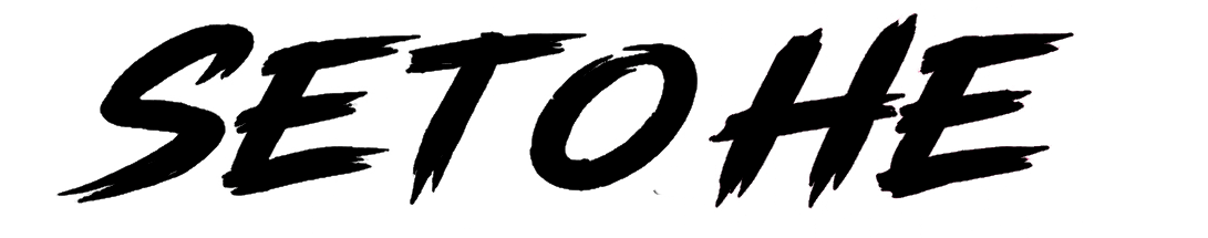 website logo